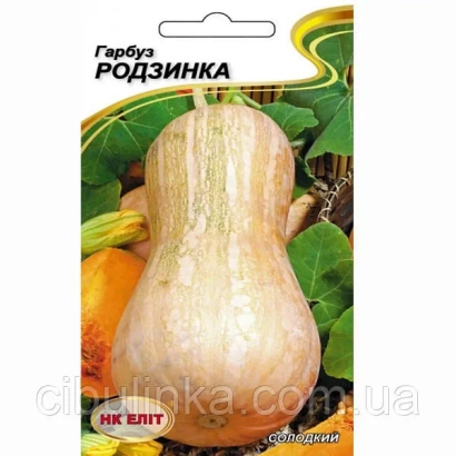 Пакет насіння гарбуза Родзинка