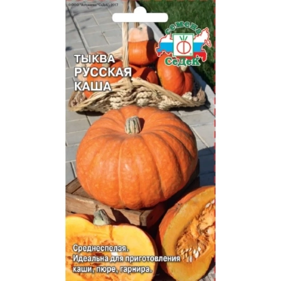 Pumpkin Russian Grocer seeds on packaging with image of orange pumpkin and decorative elements