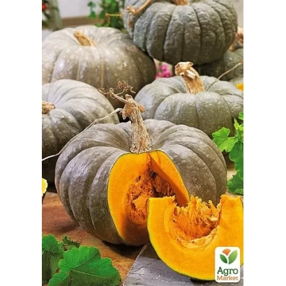 Тыква Grey Champion на деревянной поверхности с разрезом, показывающим оранжевую мякоть - Сирий Чемпион