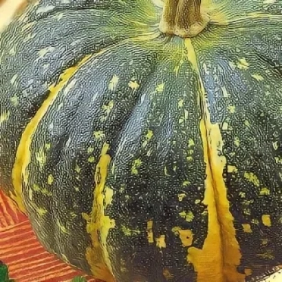 Pumpkin Sweet Fairy on orange background