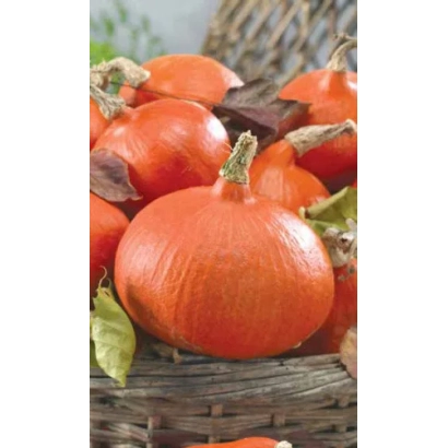 Корзина с оранжевыми тыквами - СЛАДКИЕ КАРАВАИ