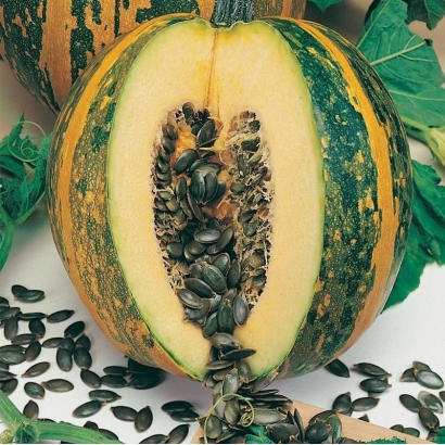 Sliced pumpkin with seeds and leaves in the background - STYRIAN SEEDLESS PUMPKIN