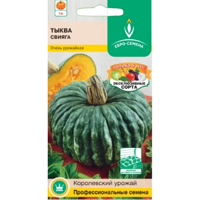 Пакет семян тыквы Свияга с изображением плода