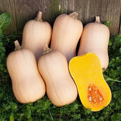 Нескілька тыків Тіана на зеленій підложці, одна розрізана, видно насіння