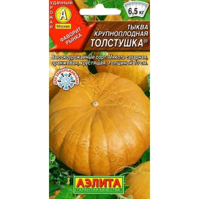 Pumpkin seeds Tolstushka in packaging with image of orange fruit
