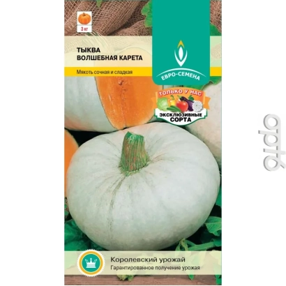 Pumpkin seeds «MAGIC PUMPKIN» on packaging with image of white fruit