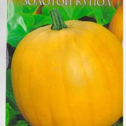 Golden Dome pumpkin seeds on packaging