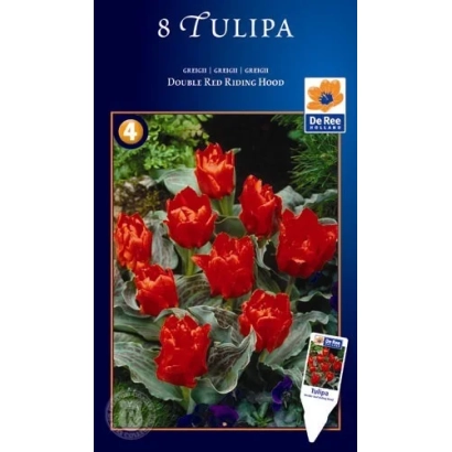 Пакет семян тюльпанов Double Red Ridinghood - Доублэ Рэд Ридингуд