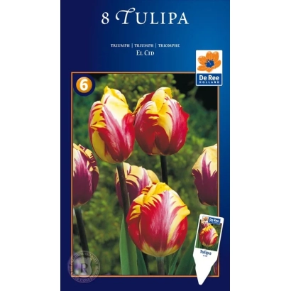 El Cid tulip seed packet