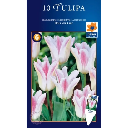 Пакет семян тюльпанов Holland Chic с изображением розово-белых цветов - Hолланд Чиц