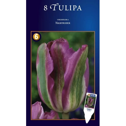 Семечки тюльпанов сорта Night Rider на упаковке - Нигhт Ридэр