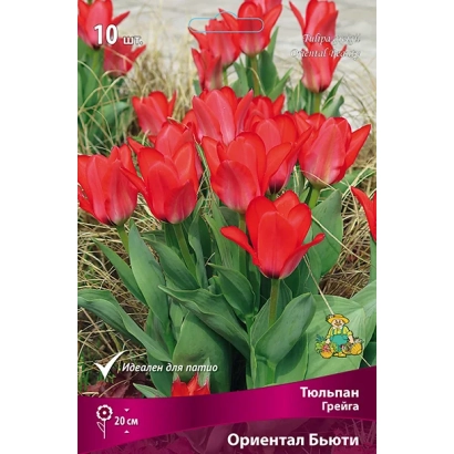Пакет семян тюльпанов сорта Ориентал Бьюти