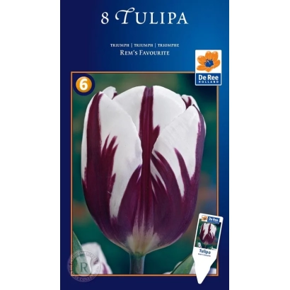 Сімена тюльпана сорту Rem's Favorite на упаковці - Улюблене Рем'а