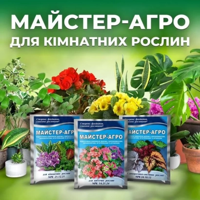 Bags of fertilizer MASTER-AGRO for indoor plants on a green background - AGRO S.V.