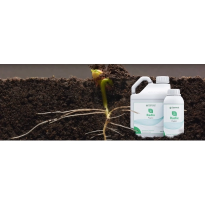 Два флакона удобрения ПЛАНТОНИТ на фоне почвы с прорастающим ростком