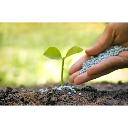 Рука тримає сині гранули добрива поруч із ростком на ґрунті - Економ