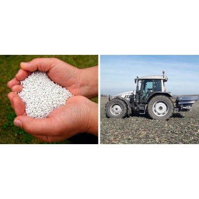 Руки тримають білі гранули добрива на фоні трави - Шолом, КГ