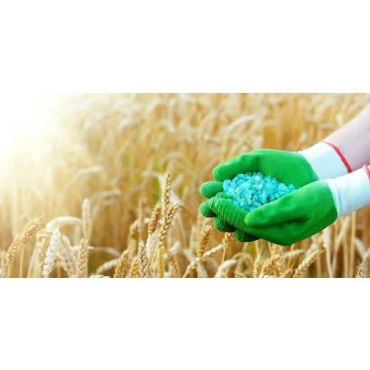 Руки в зелёных перчатках держат синие гранулы удобрения на фоне золотого поля пшеницы - Жидкие органические и органо-минеральные удобрения «Биоресурс»