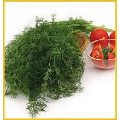 Свіжий кроп на білому фоні з помідорами в прозорій чашці - Алігатор