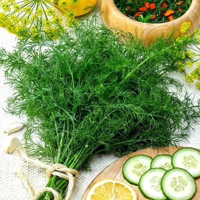 Свежий укроп на деревянной доске с ломтиками огурца и лимона - Санат