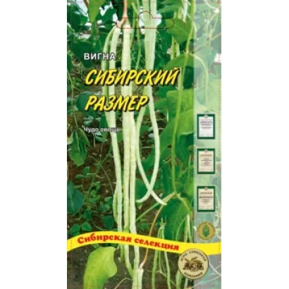 Пакет семян огурца СИБИРСКИЙ РАЗМЕР на фоне зеленых листьев