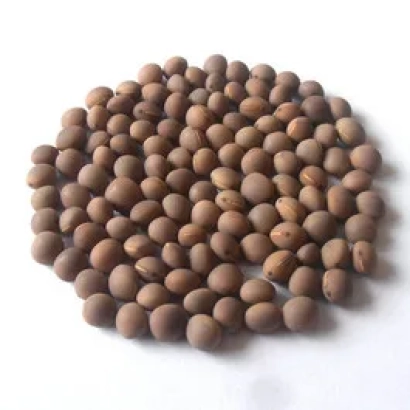 Семена вика на белом фоне - Гибридна 97