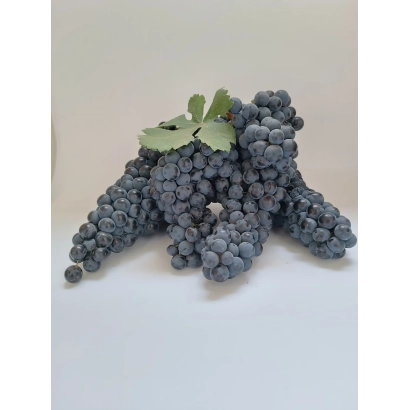 Созрілий виноград сорту Цимлянський Сергіїнко на білому фоні - ЦИМЛЯНСЬКИЙ СЕРГІЄНКО