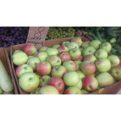 Коробка яблок Слава переможцам