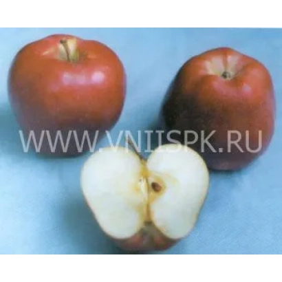 Красные яблоки Старкримсон, одно разрезано пополам, на синем фоне