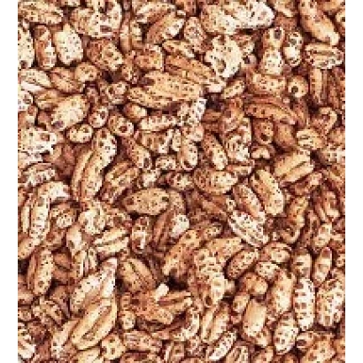 Крупный план ячменя - Цезар