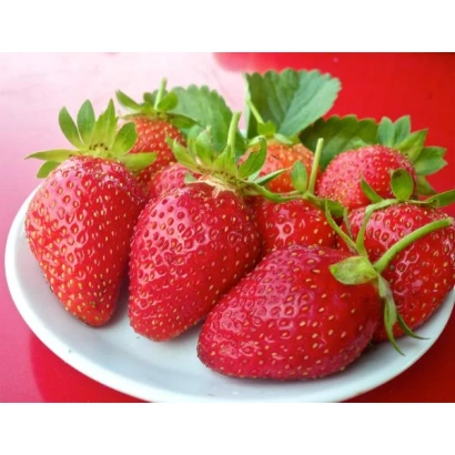 Клубника на белой тарелке на красном фоне - Алина