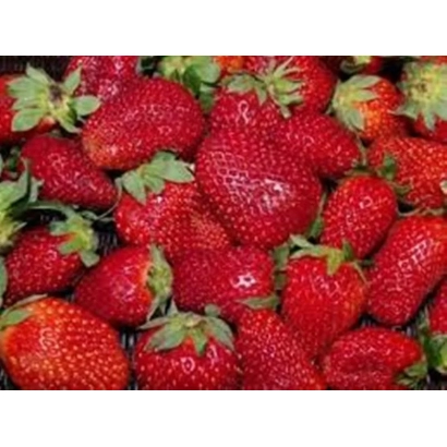 Close-up of fresh strawberries - DrisStrawFiftyEight