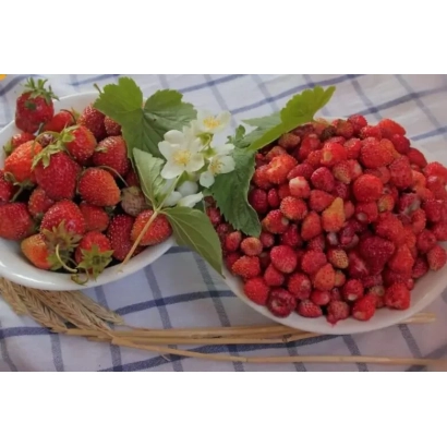 Strawberries and raspberries in white bowls on a straw background - DrisStrawFortyFive