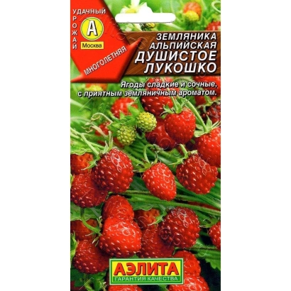 Scented Basket alpine strawberry seed packet