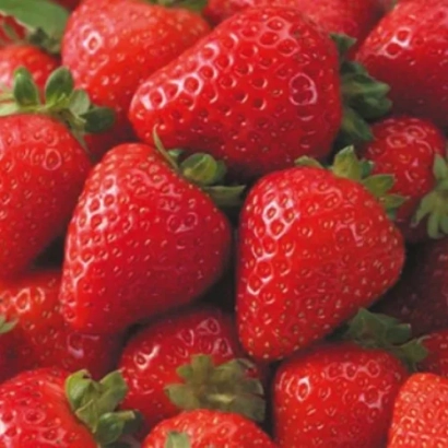 Крупный план свежих красных клубники с зелеными листьями - Гейзер