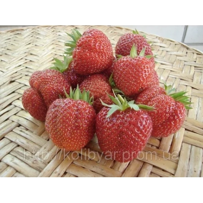 Клубника на плетеной підставці - МОЛЛІНГ ПАНДОРА