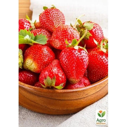 Strawberries in a wooden bowl - Radoslavka