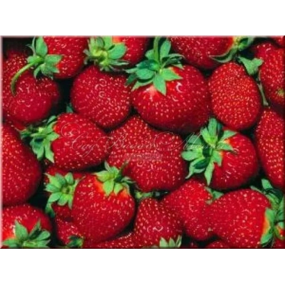 Крупный план свежих красных клубничных ягод с зелёными листьями. - Руслан