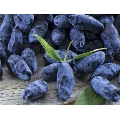 Свежие ягоды жимолости на деревянной поверхности - Черничка