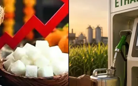 Индийская сахарная ассоциация прогнозирует снижение розничных цен