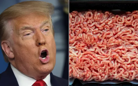 Импорт говядины как способ снижения цен на продукты: что нужно знать потребителям