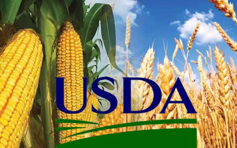 Отчет USDA: мировые прогнозы по пшенице и кукурузе на 2026/27 МГ