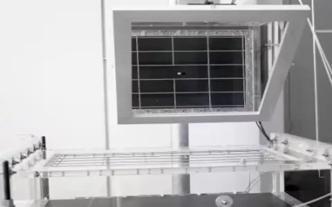Новое охлаждающее пленочное покрытие повышает урожайность сельскохозяйственных культур в засушливых регионах