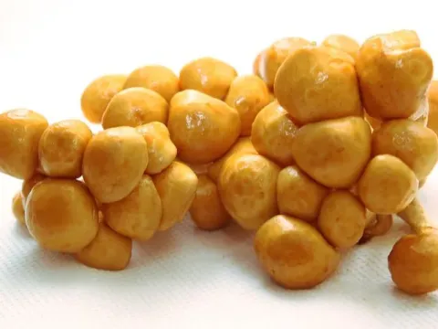 Фолиота мелкоспоровая