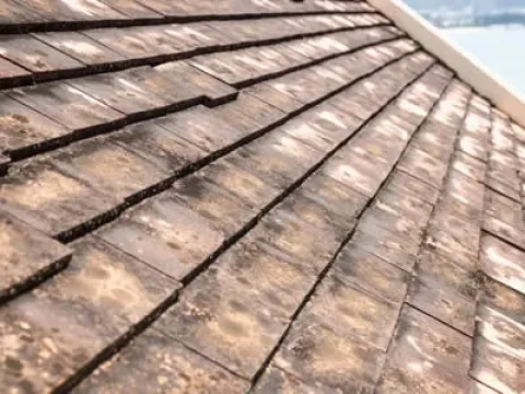 Глеокапса