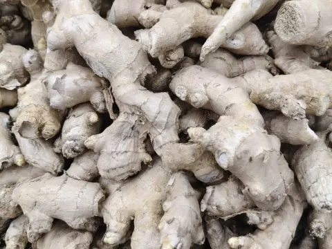 Ginger
