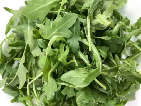 Arugula