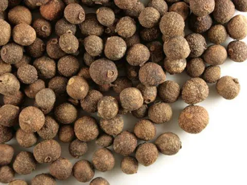 Jamaican pepper