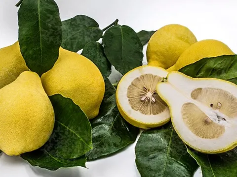 Лумия