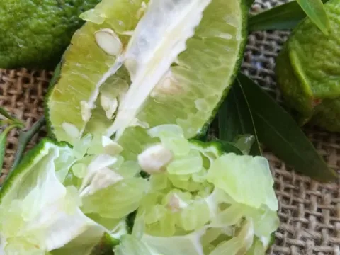 Citrus wintersii